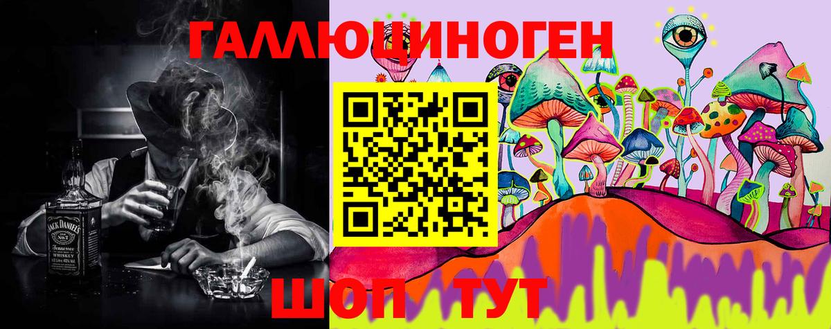 Бердск  наркотики  Вход с VPN  Галлюциногенные грибы Psilocybe 