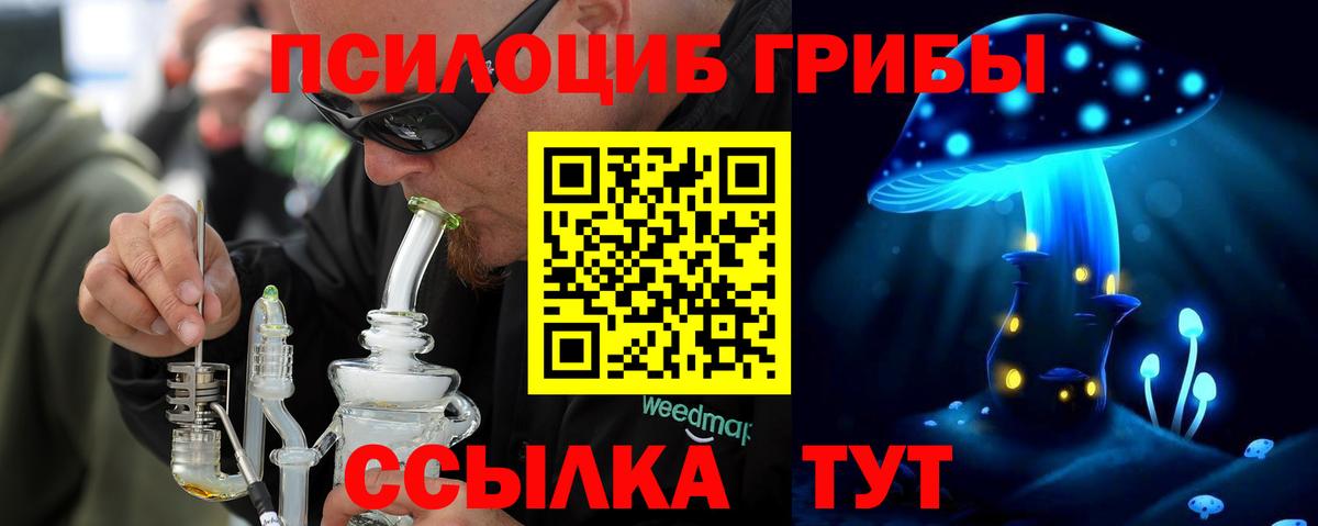 Галлюциногенные грибы Magic Shrooms Бердск